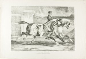 Chevaux à l