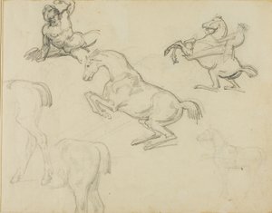 Esquisses : Nu couché, cavalier et divers chevaux - Jean Louis André Théodore Géricault