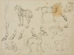 Croquis d