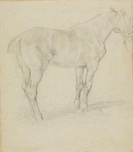 Cheval debout - Jean Louis André Théodore Géricault