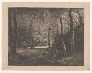 Bergère dans la forêt de Rochecardon - Jean Michel Grobon