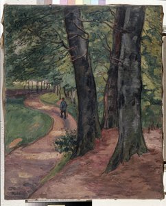 Le bord de la forêt d