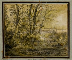Bois de Boulogne - Jean Philippe Sarazin