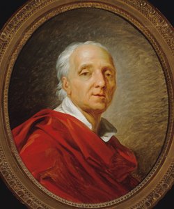 Portrait de Denis Diderot 1713-1784, 1784 - Jean Simon Berthelemy