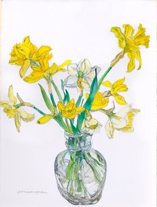 Jonquilles dans un vase à col étroit, 2006 (aquarelle et encre sur papier)