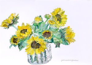 Tournesols, 2007 (aquarelle et encre sur papier)
