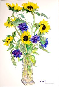 Tournesols Asters