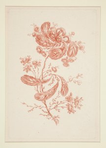Sans titre (Fleurs idéales), d