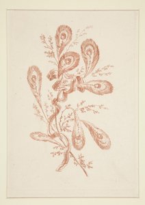 Sans titre (Fleurs idéales), d