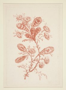 Sans titre (Fleurs Idéales), d