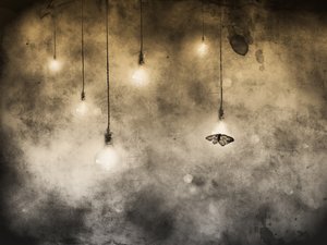 - Jeffrey Hummel