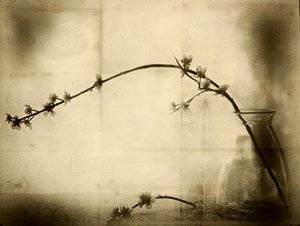  - Jeffrey Hummel
