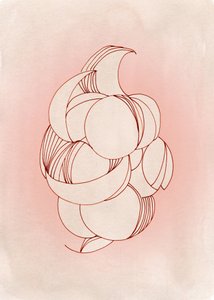 Formes délicates de pétales - Jenja Braun
