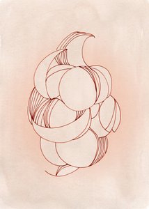 Fleur abstraite aux contours flous - Jenja Braun