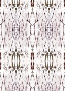 Motif naturel symétrique - Jenja Braun