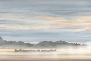 Paysage matinal brumeux - Jenna Alheit