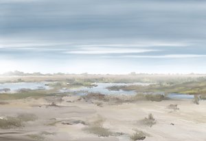 Paysage de marais brumeux - Jenna Alheit