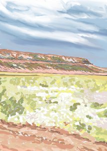 Southwest Mesa Vista - Jenna Alheit