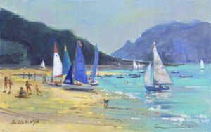 Bateaux à voile de Salcombe