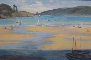 Plage de South Sands, Salcombe, 2016