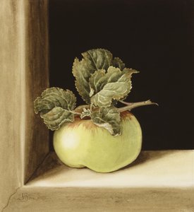 Pomme