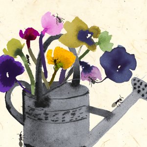 Des fourmis dans vos plantes - Jenny Frean