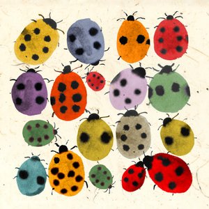 Coccinelles encreuses, 2022 - Jenny Frean
