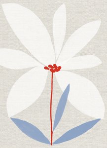Marguerite imprimée - Jenny Frean