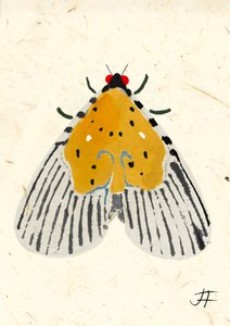 Phalène jaune, 2024 (aquarelle sur papier)