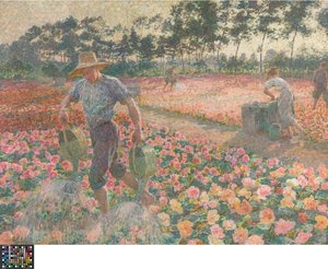 Les bégonias (Le jardinier)