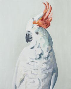  - Jenny Westenhofer