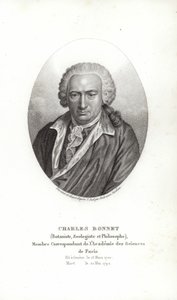Charles Bonnet - Jens Juel