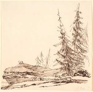 Un promontoire rocheux avec des sapins