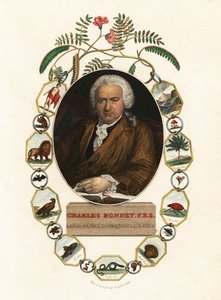 Portrait de Charles Bonnet, naturaliste genevois - Jens Juel