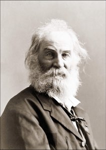 Portrait de Walt Whitman (1819 - 1892) par Gurney entre 1880 et 1890 - Jeremiah Gurney