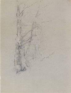 Ruisseau sec, 1888