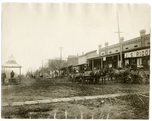 Arkansas 1903 - Jessie Tarbox Beals