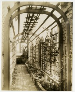 Jardin arrière de Mme Regina Jais, vers 1936-37 - Jessie Tarbox Beals