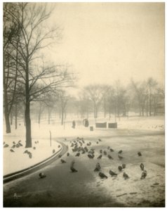 Boston Common, Boston, USA, c.1902-10