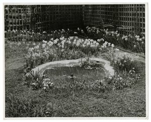 Jardin de M. et Mme Wm H Wells, 265 W 11th St, New York, USA