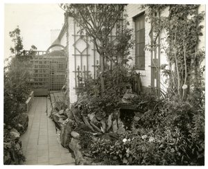 Jardin de Mme Regina Jais, vers 1936-37