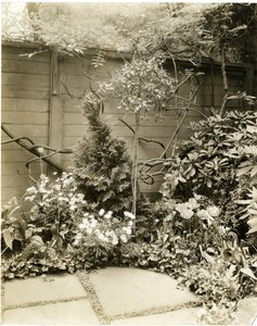 M. et Mme John Morgan, 39 W 11 St, Greenwich Village, New York, USA, vers 1939-40 (photo gélatino-argentique)