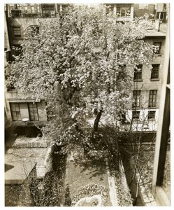 Mme W H Wells 265 W 11th - Jessie Tarbox Beals