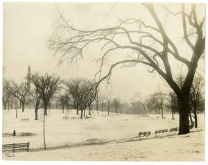 The Common, Boston, USA, vers 1902-10 - Jessie Tarbox Beals