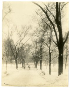 The Common, Boston, USA, vers 1902-10 - Jessie Tarbox Beals