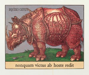 Rhinocéros Rouge, 2007 - Jim Monson
