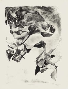 Visitation