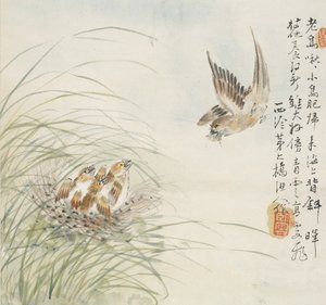 Un oiseau portant de la nourriture dans son bec, 1857 - Jin Yuan