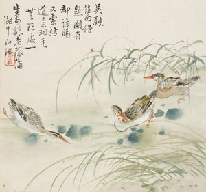 Trois canards nageant dans une piscine, 1857 - Jin Yuan