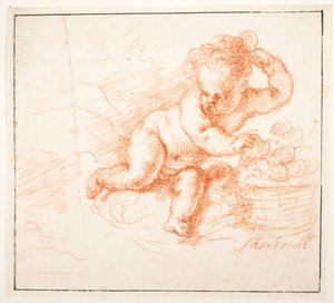 Putti ramassant des fruits - Joachim von Sandrart